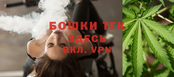 дмт Горно-Алтайск
