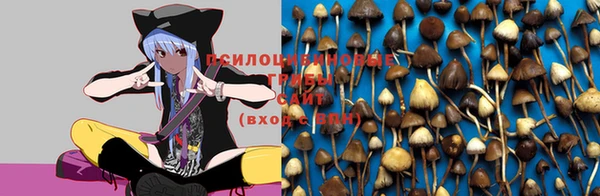 a pvp Горнозаводск